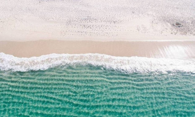 Πήγε σε προστατευόμενη παραλία και η πράξη του προκάλεσε σάλο (pics) 