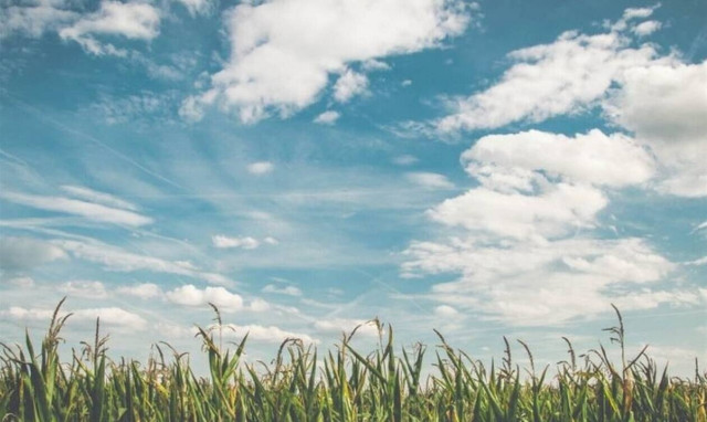 Σήκωσε τα μάτια του στον ουρανό – «Πάγωσε» με αυτό που είδε