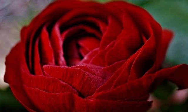 Δες τι δώρο έκαναν στους ερωτευμένους σε χωριό της Εύβοιας