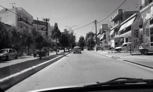 Ένας επισκέπτης που έκανε πολλούς να απορήσουν στη Χαλκίδα