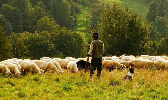Επιστρέφονται 280 εκατ. ευρώ στην Ελλάδα με απόφαση του Ευρωπαϊκού Δικαστηρίου