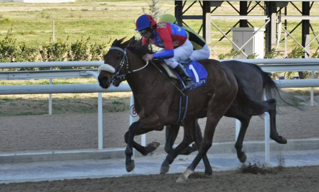 Μεγάλος αριθμός νικητών στο ιπποδρομιακό στοίχημα κι αυτή την Κυριακή