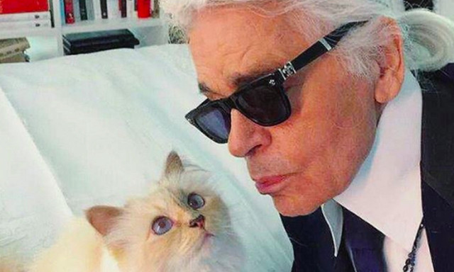 Η πλουσιότερη γάτα στον πλανήτη - Πόσα της άφησε ο Καρλ Λάγκερφελντ;