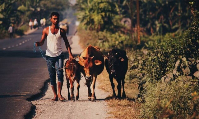 Γεννήθηκε απόκοσμο πλάσμα με 4 μάτια και 2 στόματα