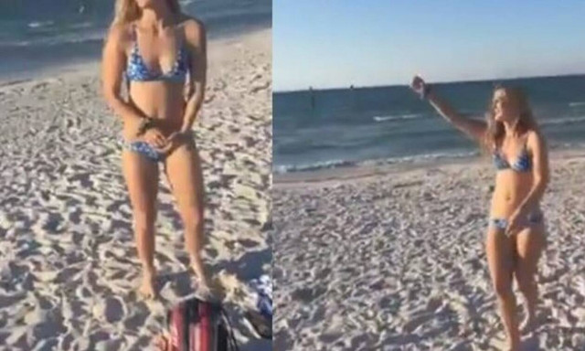 «Κλάμα»: Δείτε τι έπαθε η κοπέλα όταν αποφάσισε να ταΐσει ένα γλάρο (vid)