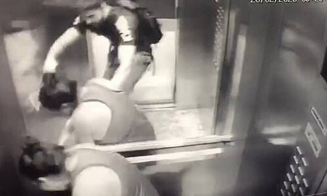 Εικόνες - ΣΟΚ: Πιτ Μπουλ ορμάει σε μωρό