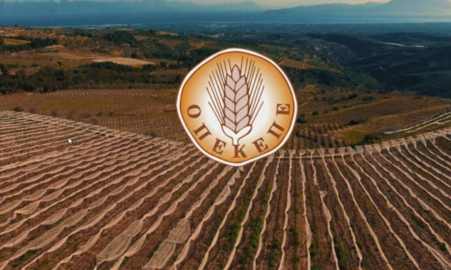 ΟΠΕΚΕΠΕ: Νέα πληρωμή σε δικαιούχους αγρότες