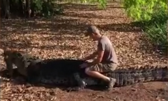 Τρελός ή ατρόμητος; Δείτε τι κάνει με τον κροκόδειλο