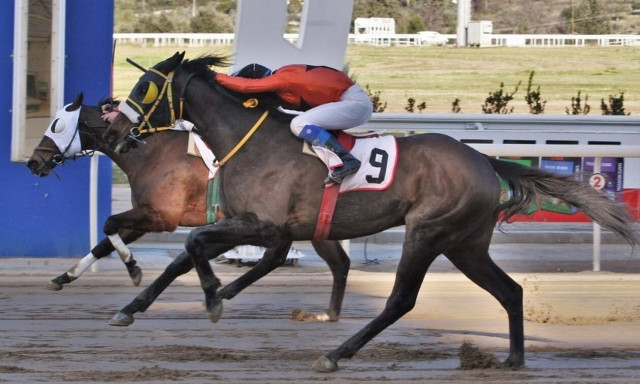 Εννέα κούρσες και τέσσερα ΣΚΟΡ στην πρώτη ιπποδρομιακή συγκέντρωση του Μαρτίου