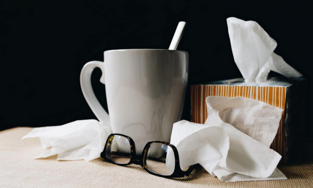 Και όμως είναι αλήθεια: Το γερό ανοσοποιητικό «περνά» από… το έντερο!