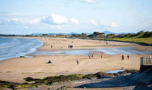 Φρίκη σε παραλία: Έπαθαν ΣΟΚ με αυτά που βρήκαν (Σκληρές εικόνες)