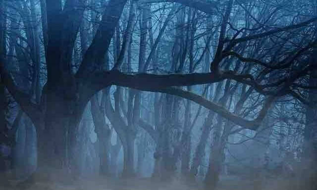 Αυτό που κυκλοφορούσε στη Χαλκίδα έκανε πολλούς να απορήσουν!