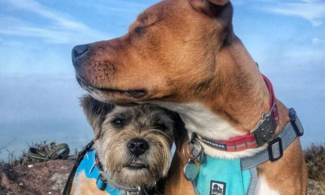 Θα «ραγίσει» η καρδιά σας με αυτό το βίντεο…