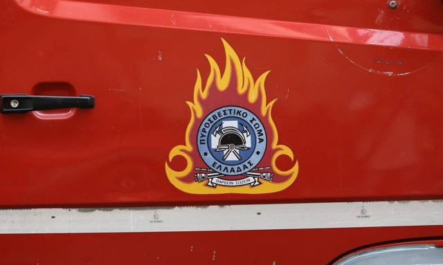 Έβρος: Φωτιά ΤΩΡΑ στο χωριό Στέρνα