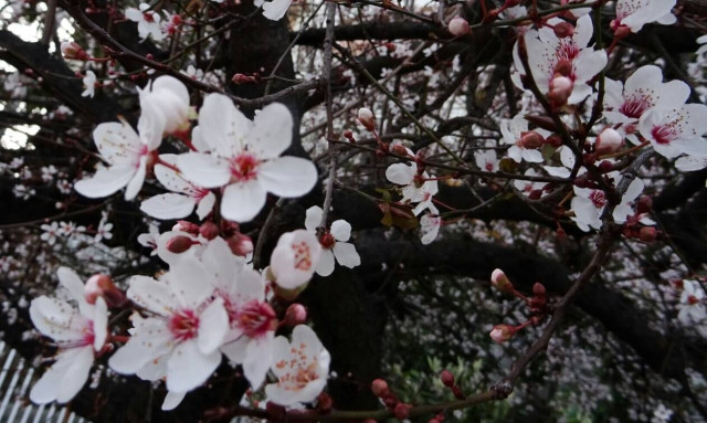 Sunday weather: fair, temperatures towards seasonal highs