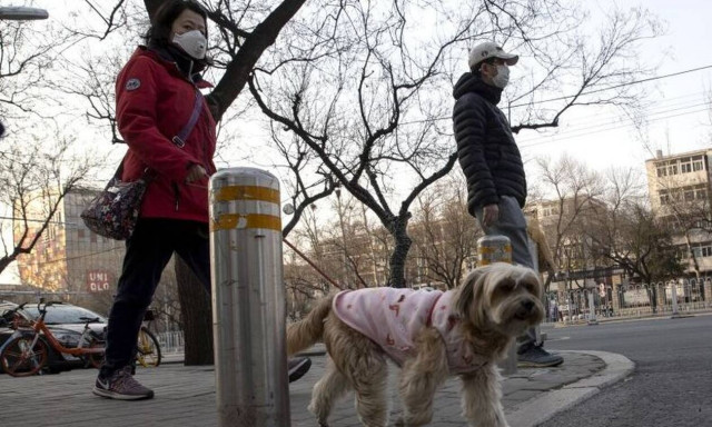 Κοροναϊός: Τι πρέπει να προσέξουν όσοι έχουν κατοικίδια (pics)