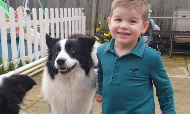 Ακούστε τι λέει ο πιτσιρικάς για τον σκύλο - Θα… λιώσετε!