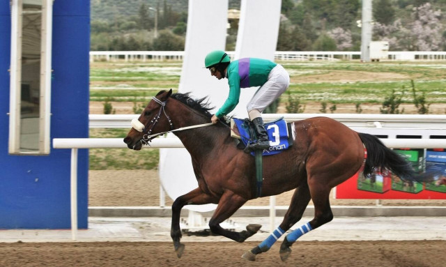 Τζακ ποτ στο ΣΚΟΡ 6 – Περισσότερα από 50.000 ευρώ στην επόμενη ιπποδρομιακή συγκέντρωση