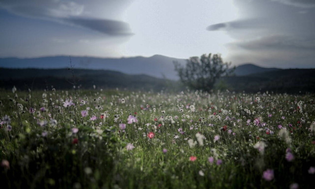 Weather forecast: Mostly fair on Wednesday (11/02/2020)