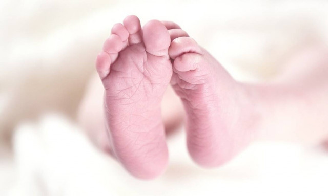 Τρόμος: Άφησε να φιλήσουν το έξι μηνών μωράκι της - Το παιδί έζησε από θαύμα (Σκληρές εικόνες)