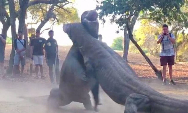 Τέτοια μάχη ΔΕΝ ξανάγινε! (video)