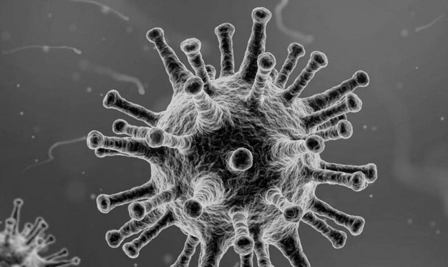 LIVE COVID19: Η εξάπλωση του κορονοϊού σε όλο τον πλανήτη (χάρτης)