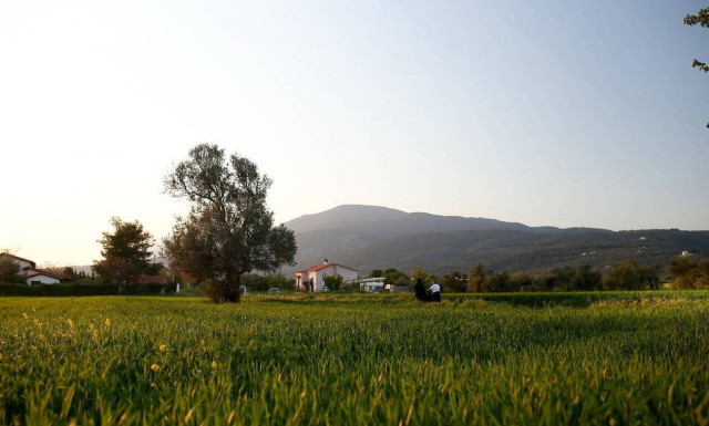 Weather forecast: Mostly fair on Friday (20/02/2020)