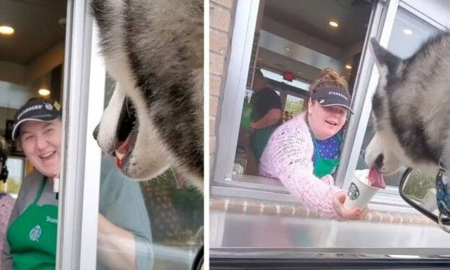 Πιο μερακλής σκύλος από αυτόν ΔΕΝ υπάρχει! Δείτε τι κάνει