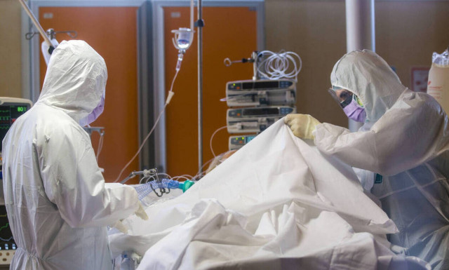 Κορονοϊός: «Κολλάει» τελικά από τα κουνούπια ή όχι; - ΠΟΙΑ ΕΙΝΑΙ Η ΑΛΗΘΕΙΑ