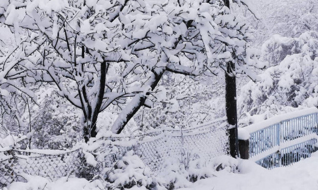 Καιρός: Στα λευκά η Βόρεια Ελλάδα - Κλειστοί δρόμοι και χωρίς ρεύμα πολλές περιοχές