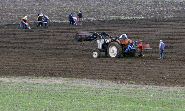 Κορονοϊός - Σε αποσυντονισμό η αγορά τροφίμων στην Ελλάδα: «Υπάρχει επάρκεια αλλά...»