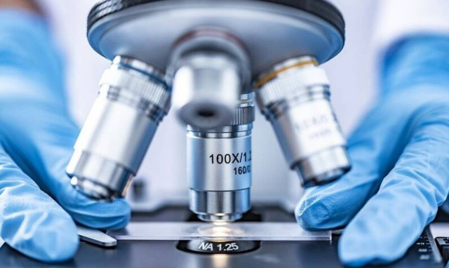 Ανακαλύφτηκε απόκοσμο πλάσμα που γεννάει αυγά αλλά είναι και... θηλαστικό!