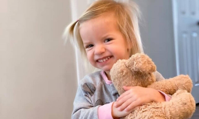 Δίχρονη ξέχασε το λούτρινο σκυλάκι της σε ξενοδοχείο - Δεν φαντάζεστε τι συνέβη στη συνέχεια (pic)