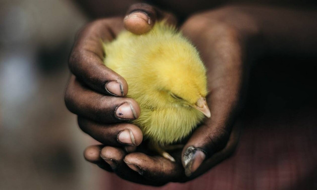 Κορονοϊός: Απεχθάνομαι ότι έχει σχέση με «τηλε» - Η ζωή είναι πρωτεϊνες και νουκλεϊκά οξέα 