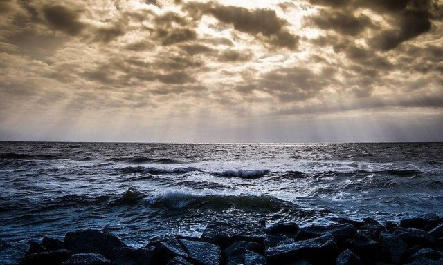 Εύβοια: Έπινε καφέ και είδε κάτι το περίεργο