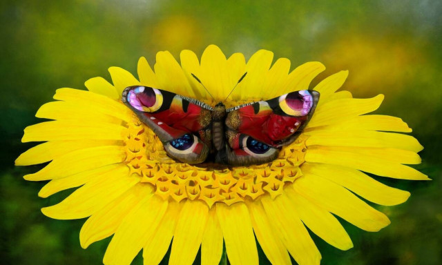 Απίστευτη οφθαλμαπάτη: Μπορείς να βρεις την γυμνή γυναίκα;