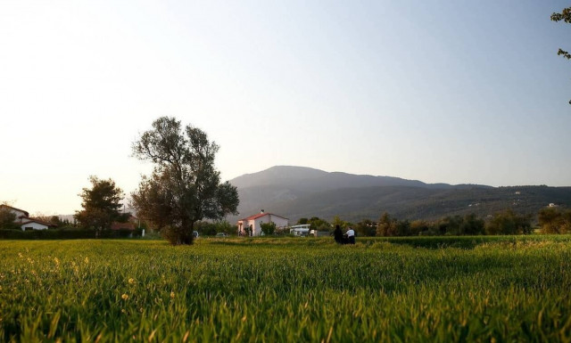 Generally fair weather on Monday (13/04/2020)