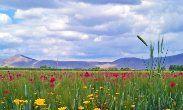 Weather forecast: Partly cloudy on Tuesday (14/04/2020)