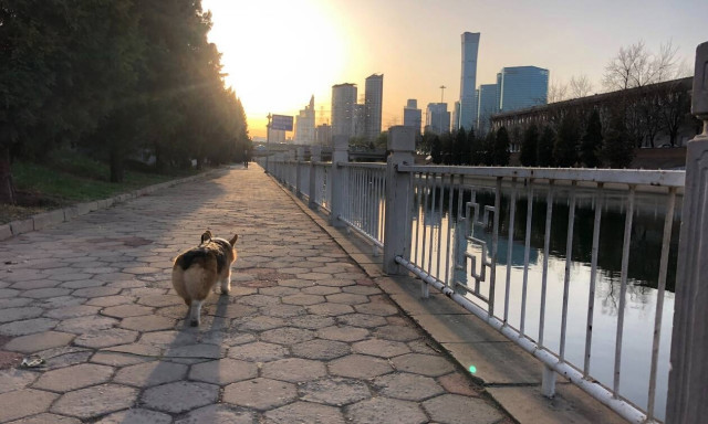 Κορονοϊός: Ανατρέπονται όλα! «Έτσι μεταδόθηκε ο φονικός ιός στον άνθρωπο»