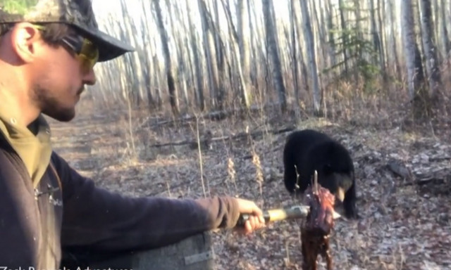 Βλέπει μια πεινασμένη αρκούδα και αυτό που κάνει ΔΕΝ έχει προηγούμενο! (vid)