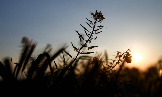 Weather forecast: Mostly fair on Thursday (16/04/2020)