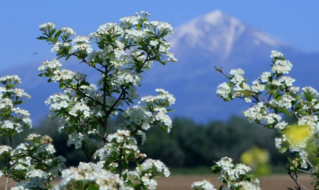 Καιρός Πάσχα: Ο καιρός μέχρι την Κυριακή του Πάσχα - Αναλυτική πρόγνωση για όλη τη χώρα (χάρτες)