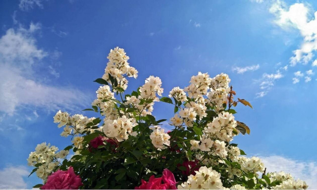 Weather forecast: Mostly fair on Friday (17/04/2020)