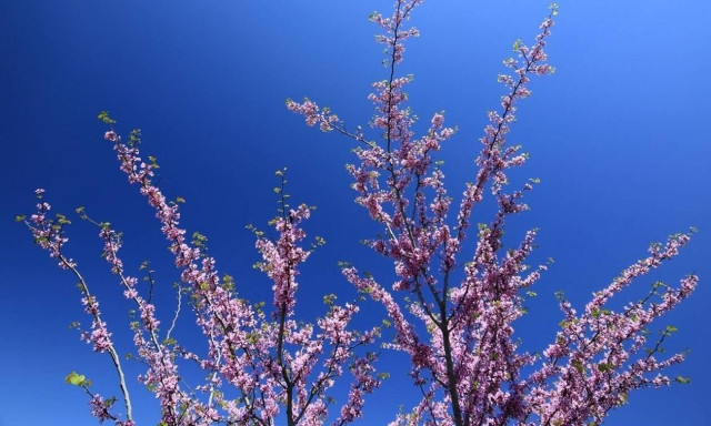 Weather forecast: Fair on Saturday (18/04/2020)