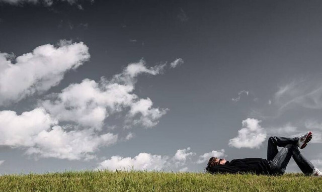 Εύβοια: Κι όμως αυτά τα έντομα γεννούν χρυσάφι