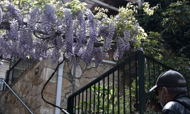 Κοζάνη: Η καλύτερη πατέντα εν μέσω πανδημίας - Δείτε πώς τσούγκρισαν αυγά (vid)