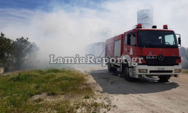 Φωτιά σε εργοστάσιο ξυλείας στην Λαμία- Άμεση η επέμβαση της πυροσβεστικής (photos)