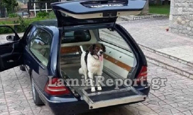 Φθιώτιδα: Συγκλονιστικές εικόνες - Σκύλος ακολούθησε το αφεντικό του στην κηδεία του