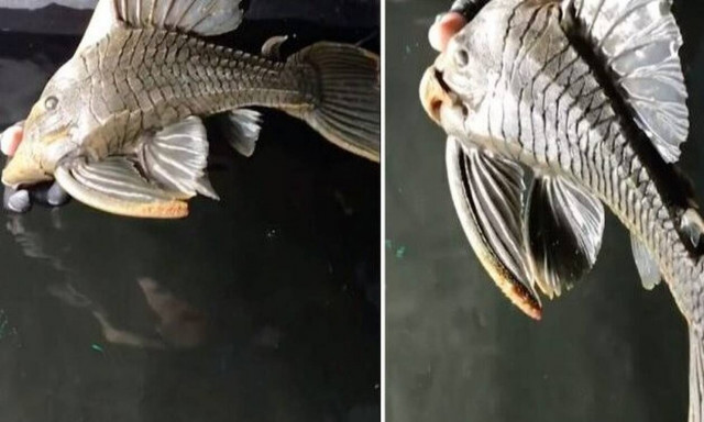 Το βίντεο που καθήλωσε ΟΛΗ την Κρήτη στην οθόνη!