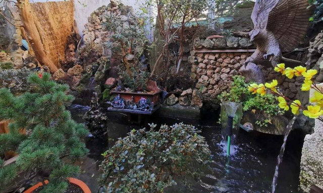 Θεσσαλονίκη: Μετέτρεψε τον κήπο της Εδέμ την αυλή του - Απίστευτες εικόνες